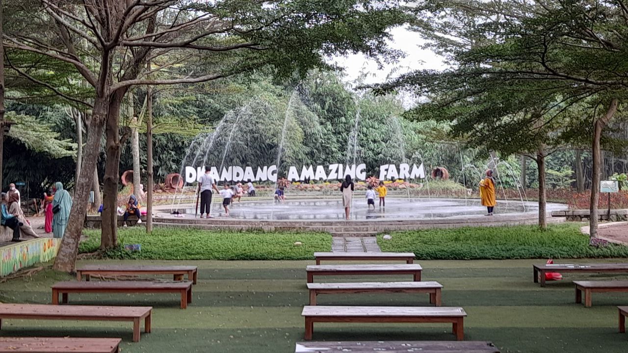 DKANDANG AMAZING FARM