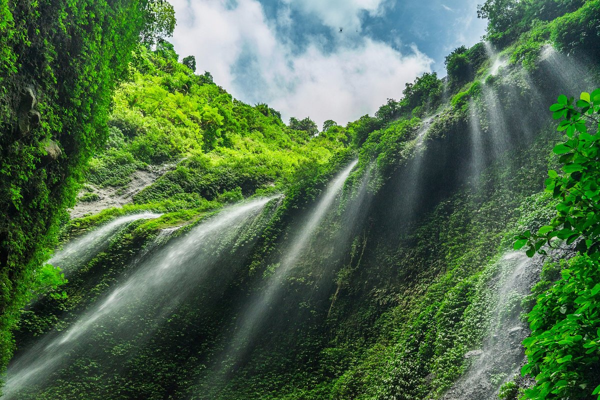 Rental Mobil Bandung dengan Sopir Profesional – Mudah dan Nyaman untuk Liburan ke Destinasi Wisata Air Terjun Terindah di Indonesia 1 Rental Mobil Bandung dengan Sopir Profesional – Mudah dan Nyaman untuk Liburan ke Destinasi Wisata Air Terjun Terindah di Indonesia
