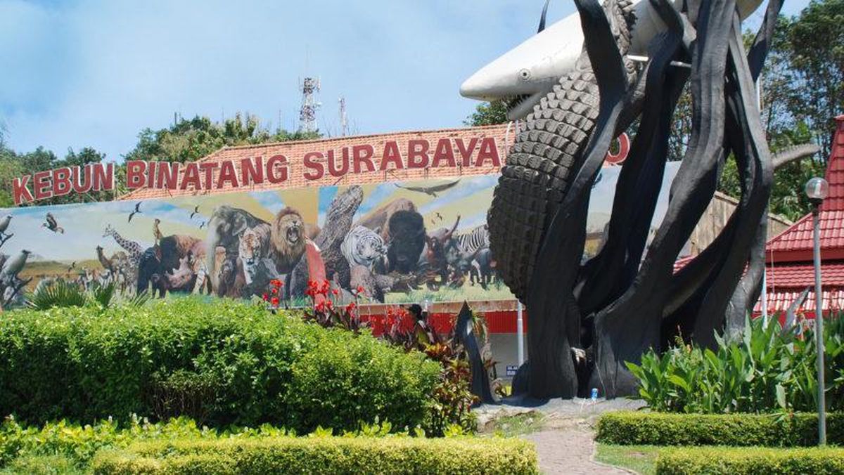 Sewa Mobil Travel Jakarta Bandung Murah : Harga Rental, Armada Lengkap & Rekomendasi Wisata Surabaya 2 Sewa Mobil Travel Jakarta Bandung Murah : Harga Rental, Armada Lengkap & Rekomendasi Wisata Surabaya